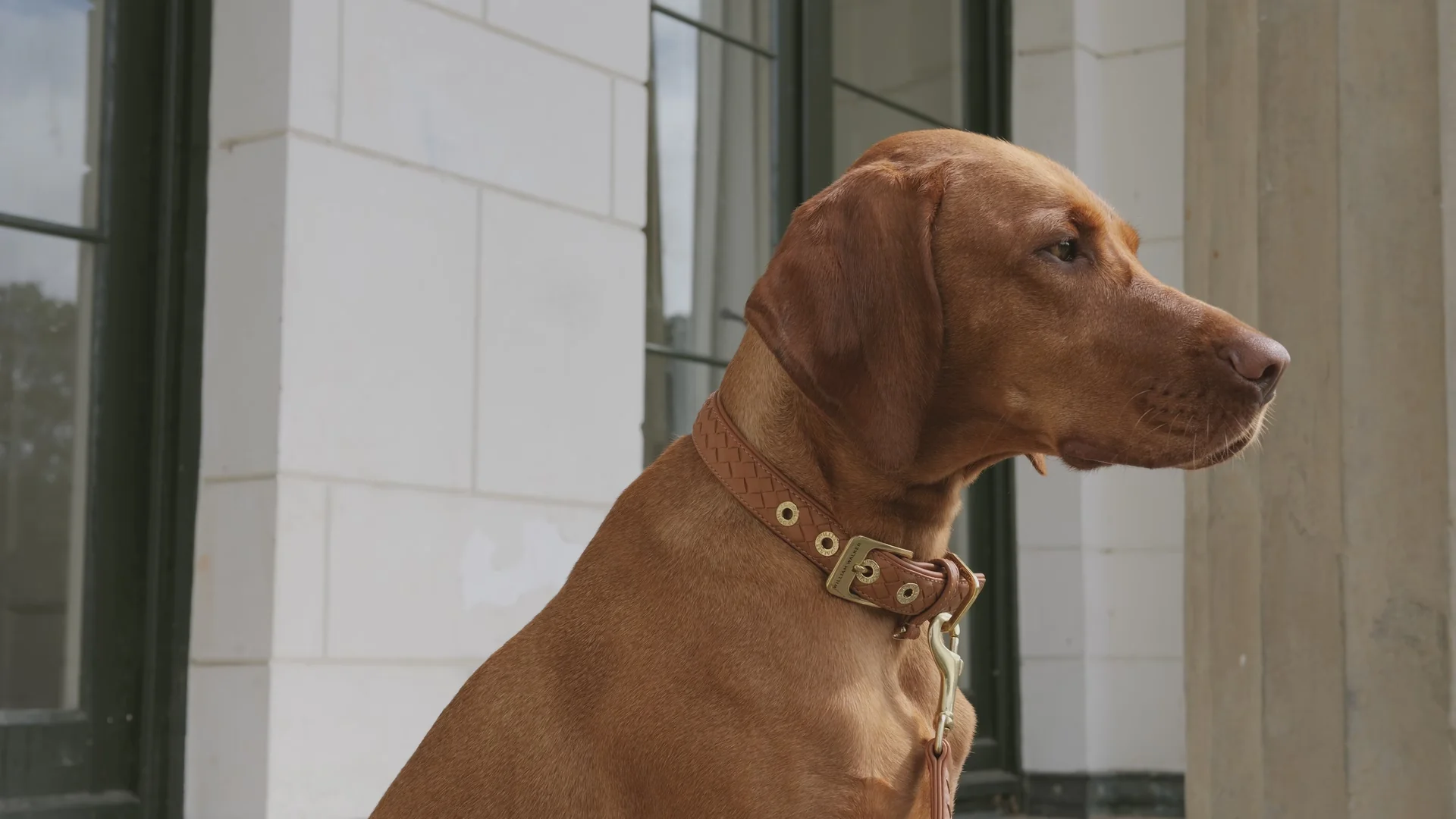 Welcome to Our Store